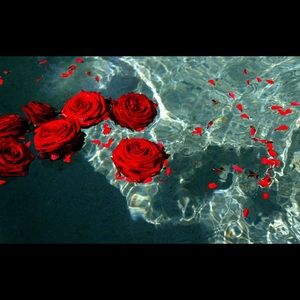 Meet your Posher, Aly